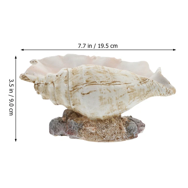 1pc Conch Blumentopf Conch Sukkulenten Topf Conch Shell Figurine 8