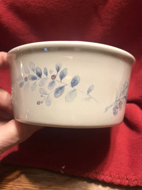 Pfaltzgraff - Winter Frost  - Dip Bowl  4 1/2" Dia New Condition