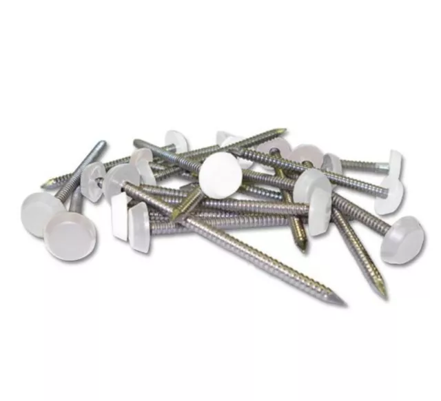Poly Pins 25mm White Plastic Headed Nails 50 Quantity Fascia nails