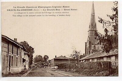 BRAUX STE COHIERE- Marne - CPA 51 - la grande rue - église ( Moutons mérinos )