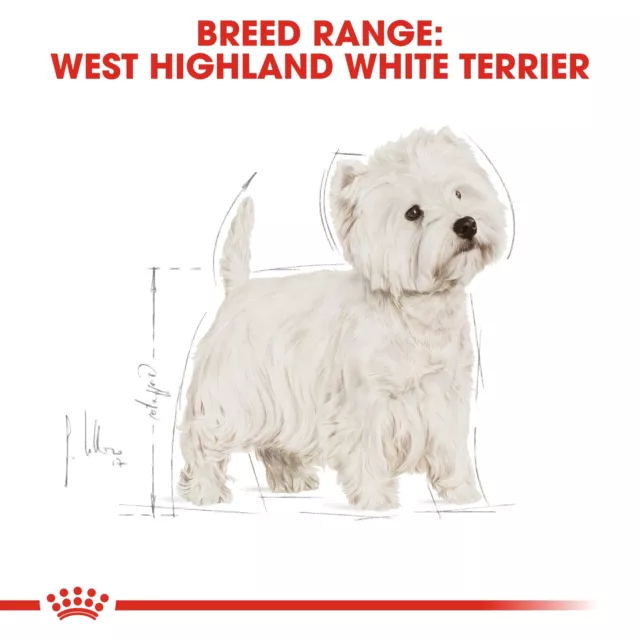 West Highland White Terrier Adult Dry Dog Food, 3kg 3