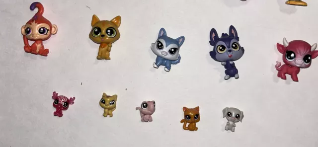 💕 Authentic Littlest Pet Shop LPS Lot with Accessories With Cats And Dogs 💕 3