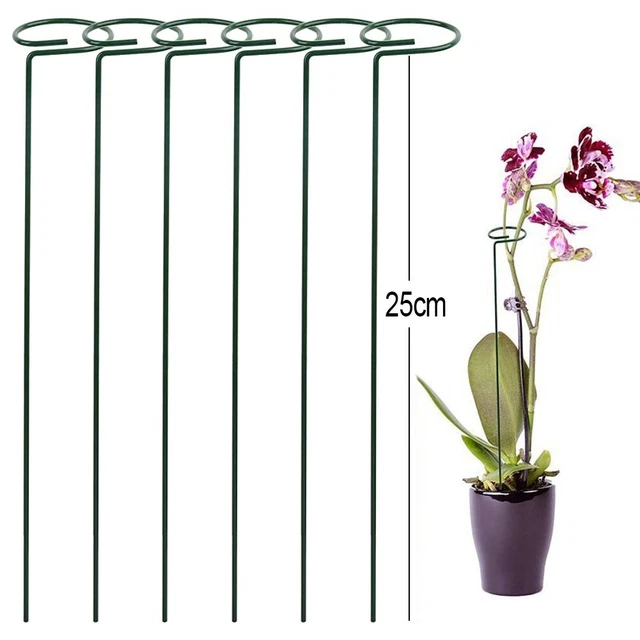 Pali Per Elettrocoltura In Rame | 6 Antenne Da 12 Pollici | Per Crescita Piante, Orto E Giardino | Avvolgimento In Senso Orario, Facile Installazione