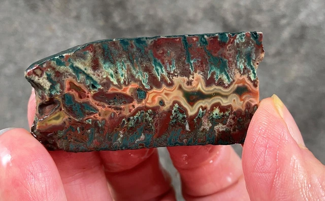Idaho Sunset Plume Agate Rough Slab!