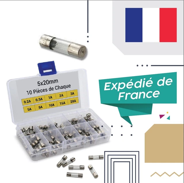 Boite de 100 Pièces Fusible Verre, 5x20mm (0,2A 0,5A 1A 2A 3A 5A 8A 10A 15A 20A)