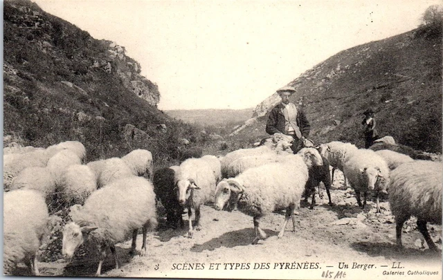 CPA SCENES ET Types Vie Quotidienne La Cote Charentaise Pecheuse De Crevettes EUR 5,00 - FR
