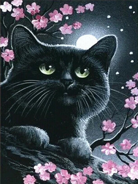 Diamond Painting 5D Full Round Drill Mosaic DIY Black Cat Kit Wall Decorations