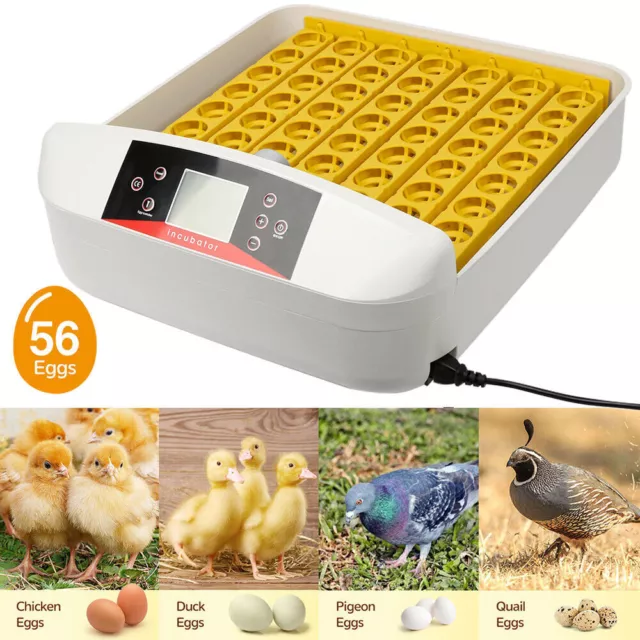 Automatic 56 Egg Incubator Auto Turning Chicken Poultry Pigeon Quail Egg Hatcher