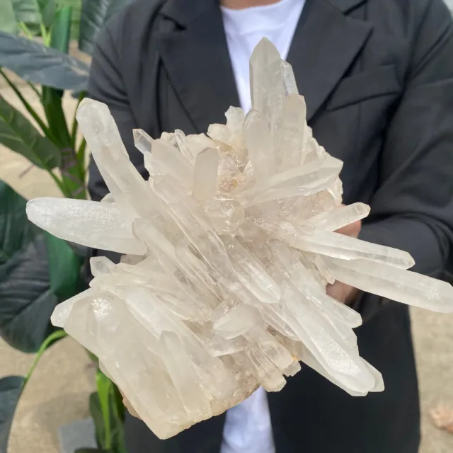 3.1lb Large Natural Clear White Quartz Crystal Cluster Rough Healing Specimen 6