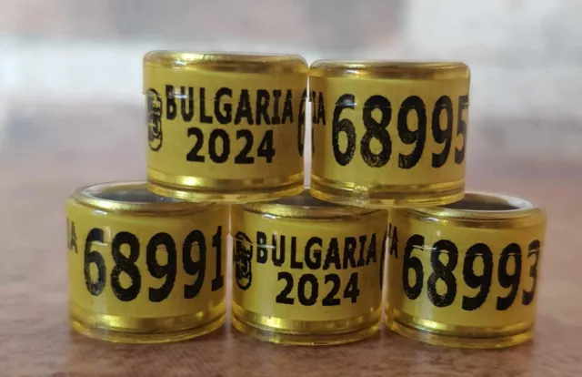 5 Brieftaubenringe 2024 BG Pigeon rings FCI Eigentumsausweis Ring Bulgarien