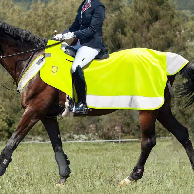 Harrison Howard Horse Exercise Sheet with Detachable Neck Tie Waterproof and Bre