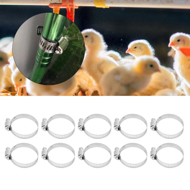 10Pcs 3.5cm Drive Hose Clamps Stainless Steel Water Square Pipe Fastener Buc FTD