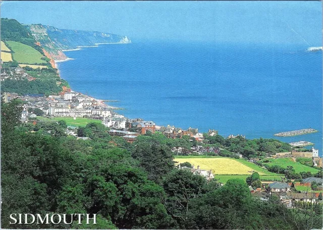 Postcard SIDMOUTH Water Water resources Azure Natural landscape Tree Bay AA07504