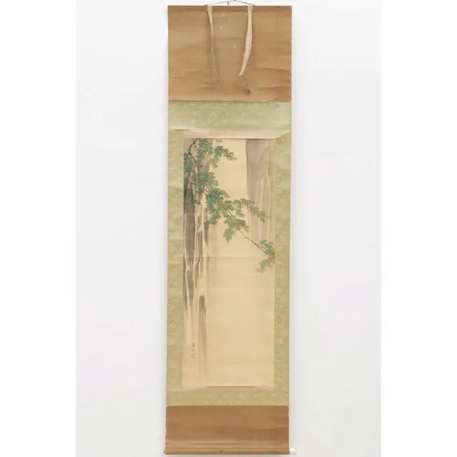 Kakejiku Japanese Hanging Scroll Ivy Maple & Waterfall Kason Suzuki with Box