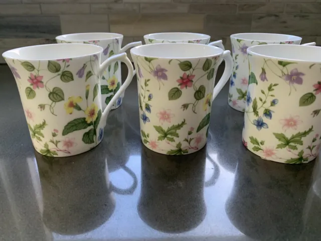 Queens Country Meadow Floral  Fine Bone China Coffee,Tea Cup England
