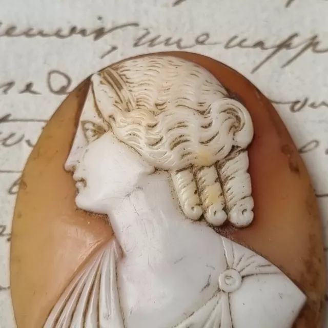 CAMEE Coquillage Ancien Portrait XIXè Napoléon III Victorian Shell Cameo 19thC 3