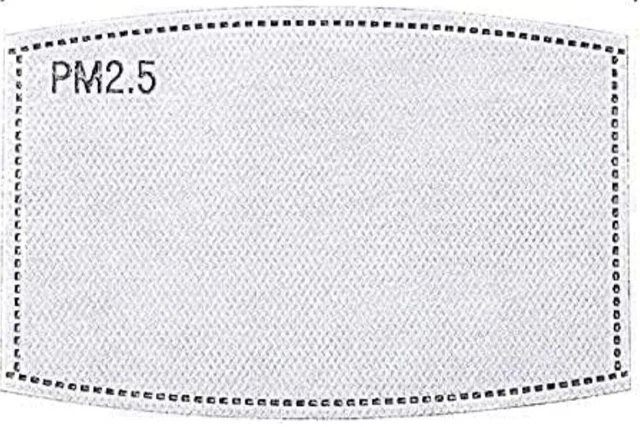 450ct PM 2.5 Activated Carbon Filter Insert Adult 5-Layers Replaceable Filters
