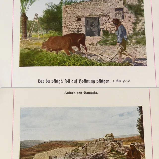 Palestine Israel Holy Land photos 1920s book w/64 color photos Jerusalem Hebron