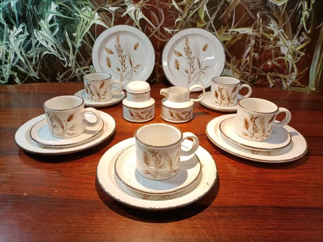 Midwinter England Wild Oats - Pretty Coffee Service for 5 Persons