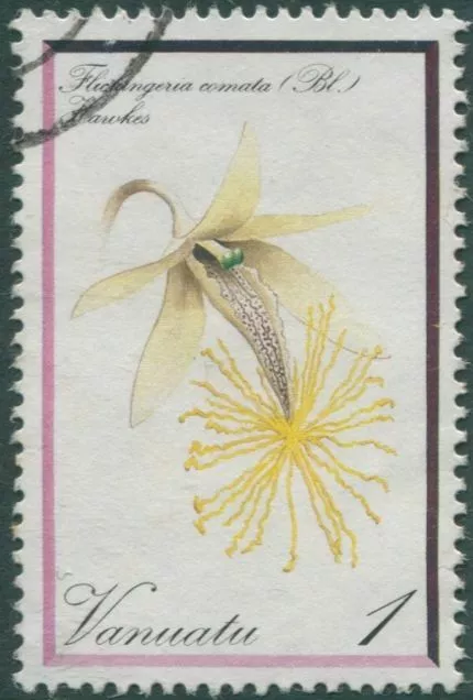 Vanuatu 1982 SG331 1v Orchid FU