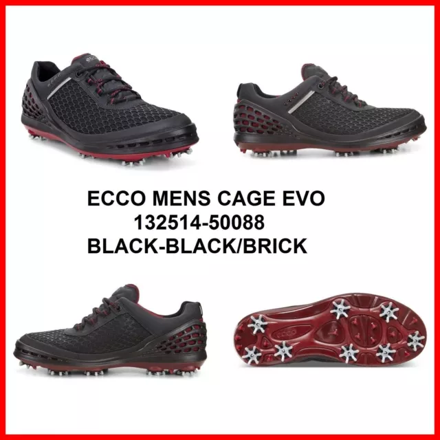 Ecco evo store cage golf shoes