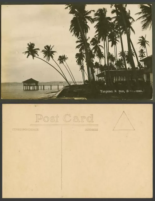 Singapore Old Real Photo Postcard Tanjong Katong Katon, Pier Jetty Palm Trees RP