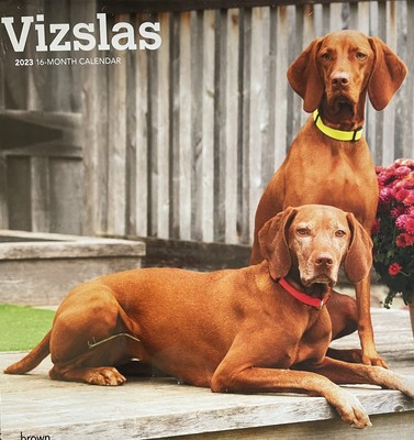 HUNGARIAN VIZSLA DOG calendar 2023 New! £9.99 - PicClick UK