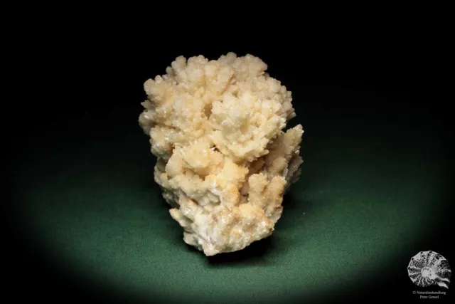 Aragonit Marokko Stufe Mineral Sammlung Kristall Deko deco 3