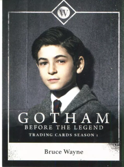 Gotham Season 1 Character Bios Chase Card C03 Bruce Wayne