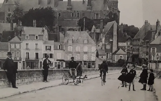 cpa-45-Loiret-GIEN-La vue Générale,le Pont et le Château,attelage de Chien. 3