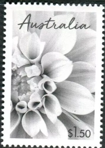 2024 $1.50 'Special Occasions - Dahlia' Stamp:Muh