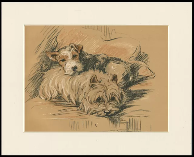 CAIRN AND WIRE FOX TERRIER 1937 DOG ART PRINT by MAC LUCY DAWSON READY MOUNTED