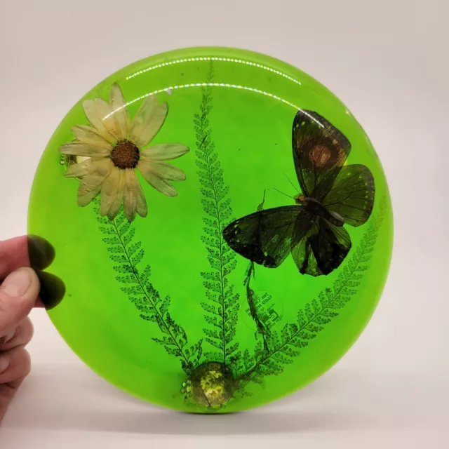 Vintage Green Acrylic 6.5”  Round Trivet Butterfly Floral Design Gift USA