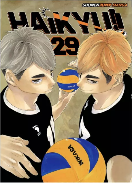 Haikyu!! Manga Volume 29 - English - Brand New
