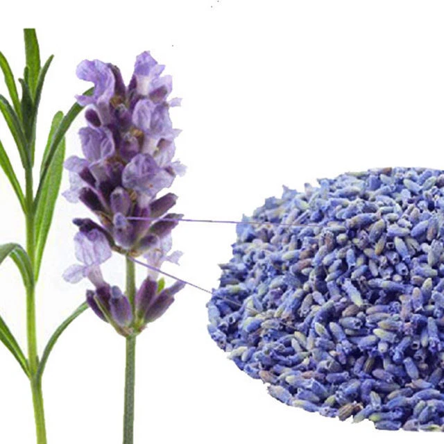 Good for Sleep 50g Lavender Dried Flower Tea China Floral Bloom Herbal Tea Gift