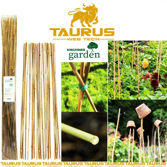 20 x Bamboo Canes Garden 120cm Strong Thick Plant 4FT Stick Support UK FREE P&P