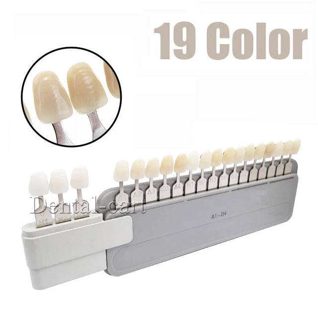 1x Dental Classical Shade Guide A1-D4 with Attached Bleached Extension 19 Colors