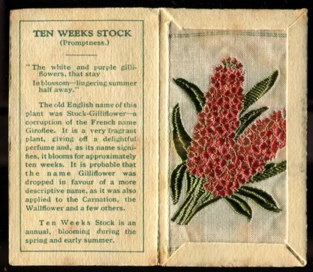 Kensitas Woven Silk Flowers,1934,Small,1st Series,Folder Type D,TEN WK STOCK,58b