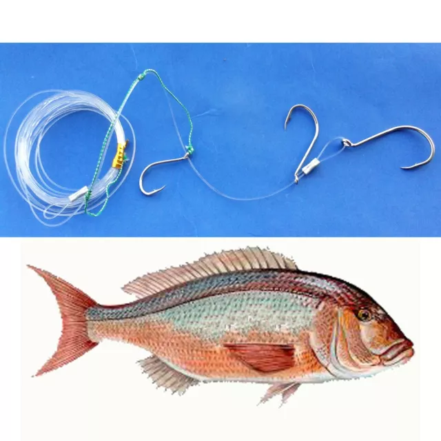 montatura innesco pesce vivo pesca traina lenza dentice terminale fluorocarbon