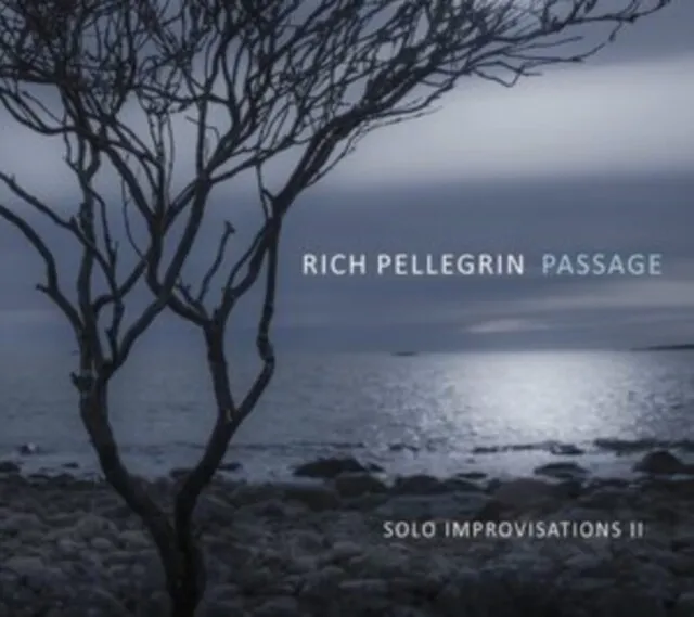 Rich Pellegrin - Passage Solo Improvisations Ii NEW CD