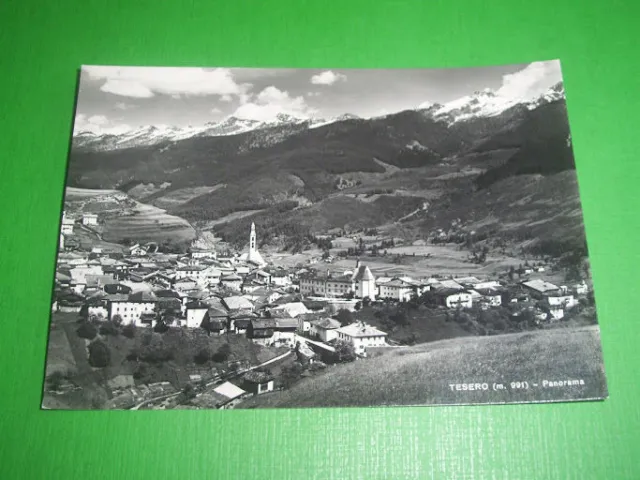 Cartolina Tesero ( Trento ) - Panorama 1950 ca