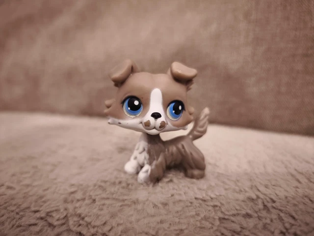 Littlest Pet Shop LPS #893 - Chien Colley Authentique Hasbro, Occasion