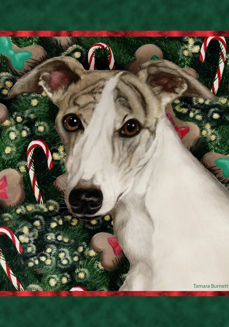Christmas Holiday Garden Flag - Fawn Brindle and White Whippet 149191