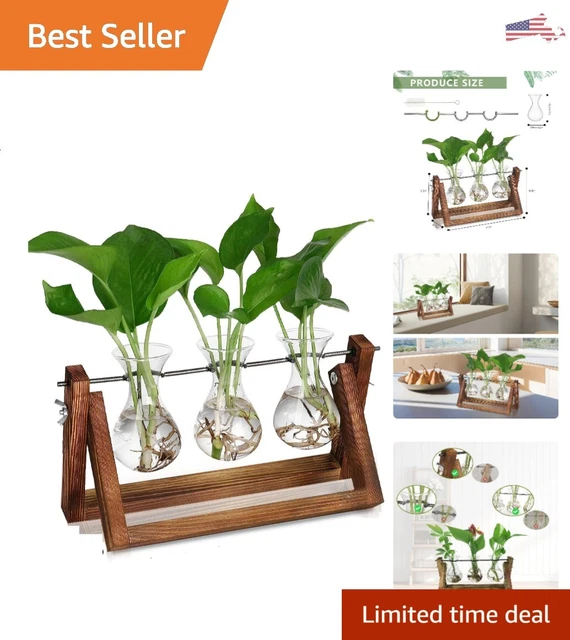 Stylish Chic Desktop Plant Propagation Station - Wooden Stand - Bulb Vase