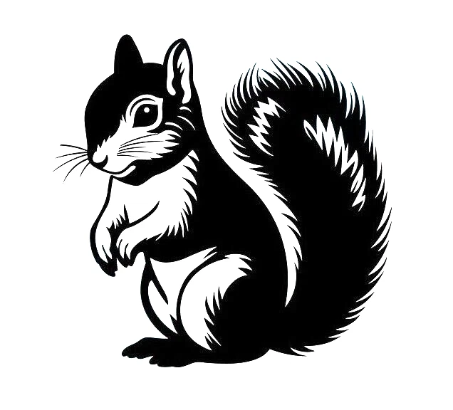 large 21" cute squirrel vinyl van car bonnet side sticker decal wall art graphic