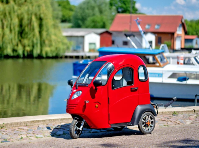 E-FROSCH TRIKE Vogel 3 Rad Kabinenroller 25 km/h Mini Quad BIG Grand ...