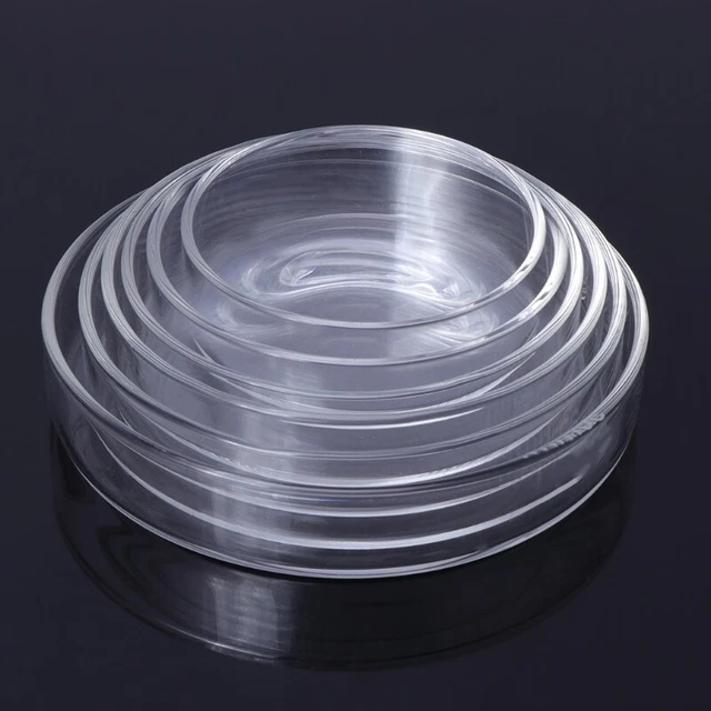 Shrimp Feeding Dish Glass Bowls Round Tray Aquarium Fish Feeder Multiple Sizes