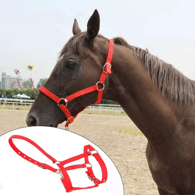 Nuovissima striscia di corda per cavallo portatile all'aperto si applica 3 strisce