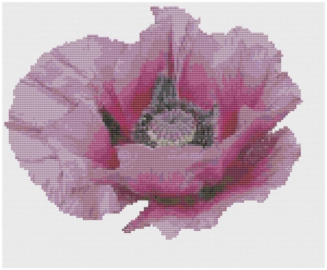 Kit Point De Croix Florashell - Motif Rose Fleur Ouvert, 14 Points, Gabarit, Neuf, Origine Royaume-Uni