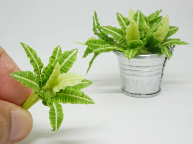 1 pc Miniature Bird's nest fern Clay Dollhouse Handmade Decor 1:12  #1